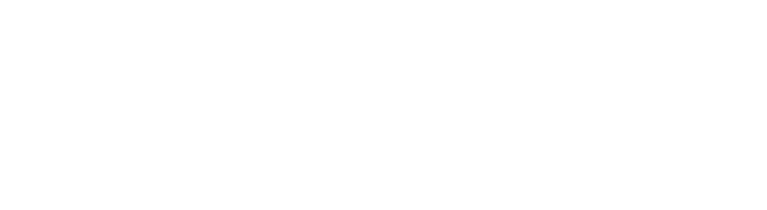 Turtlebay